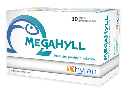 Megahyll
