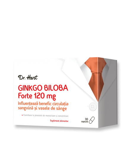 Ginkgo Biloba Forte 120 mg