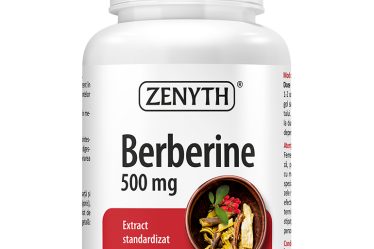 Berberine 500 mg