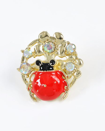 Brosa martisor buburuza pe flori