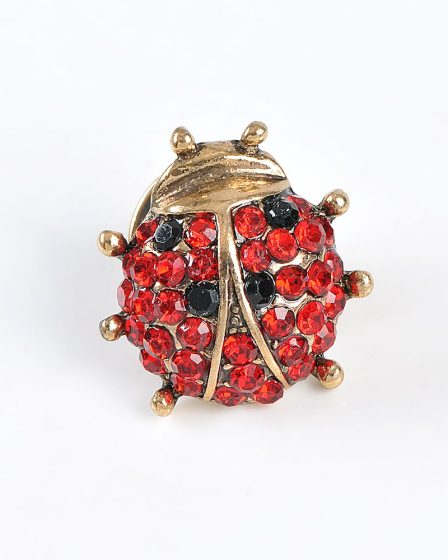 Brosa martisor buburuza