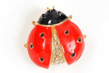 Brosa martisor buburuza