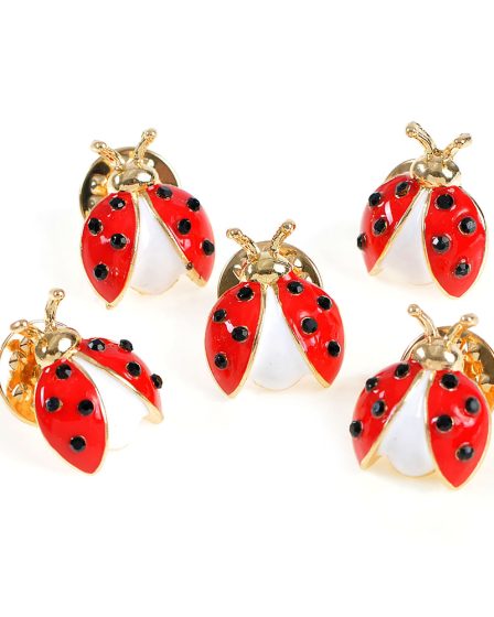 Set 5 brose martisor buburuza