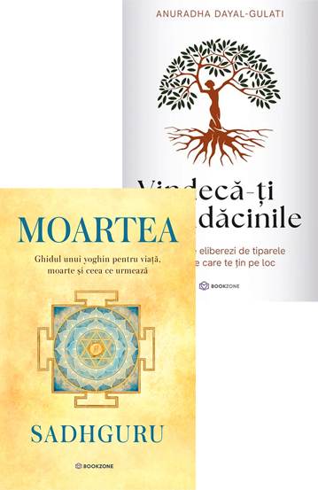 Pachet Viata moartea si vindecarea